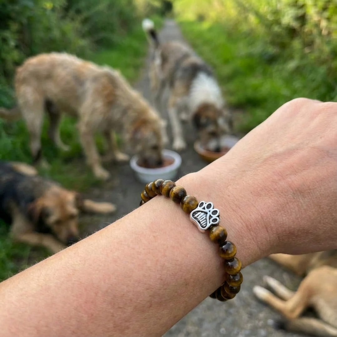 Safari Natural Stone Bead Bracelet | Silver Paw Charm | Gift Box & Dog Stickers | Rescue Charity
