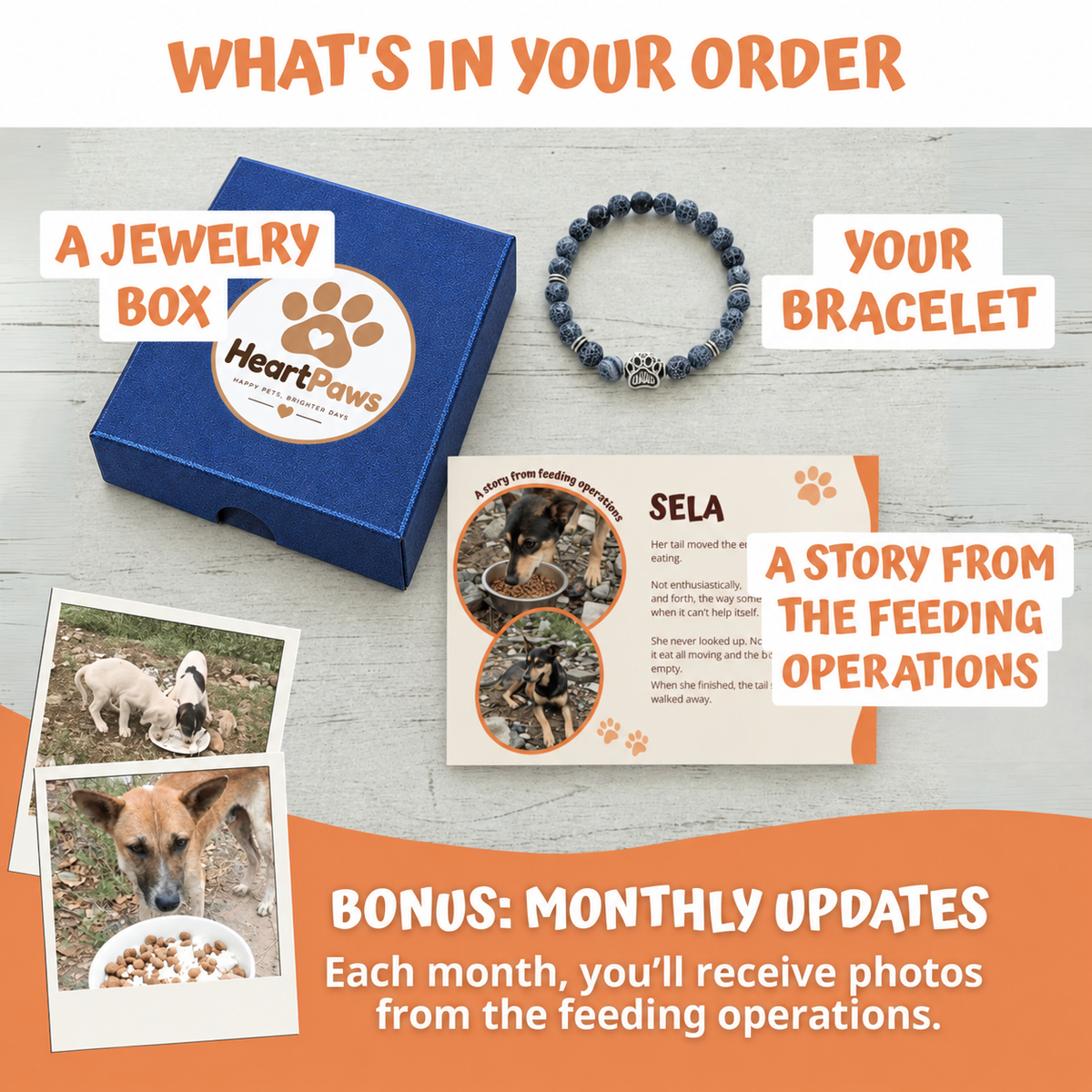 Ocean & Meadow Natural Stone Bead Bracelet Set of 6 | Paw Charm | Rescue Charity