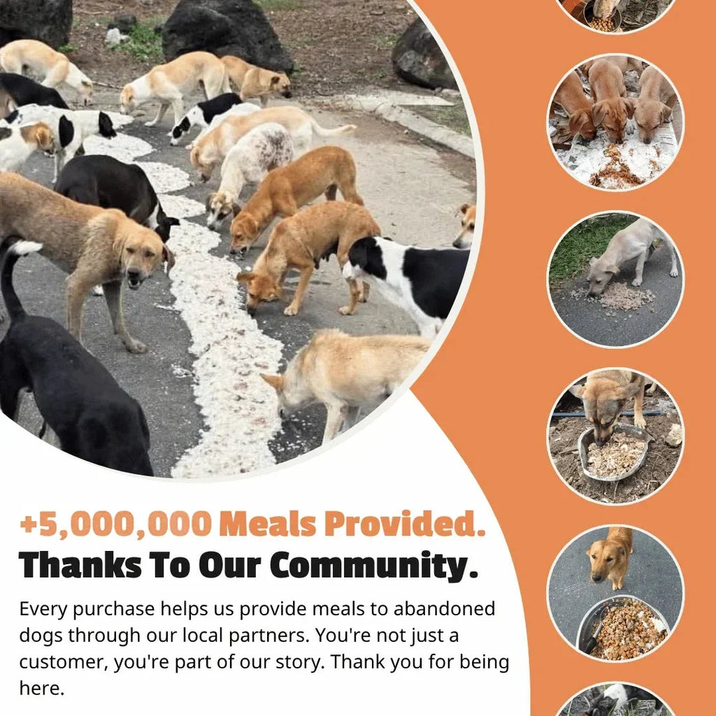 5,000,000+ meals provided thanks to our community of dog lovers