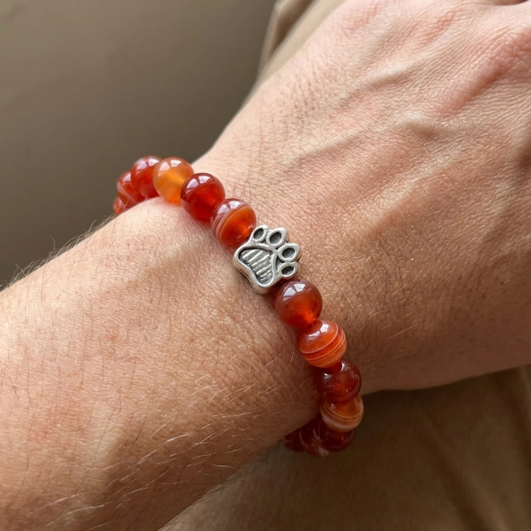 Blaze Red Agate Bead Bracelet | Silver Paw Charm | Rescue Charity