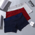 Calvin Klein Cotton Men's Boxer Briefs - 3-Piece Box