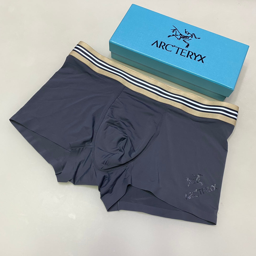 Arc'teryx Ice-Silk Men's Boxer Briefs - 3-Piece Box