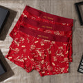 Arc'teryx Modal Men's Boxer Briefs - 3-Piece Box
