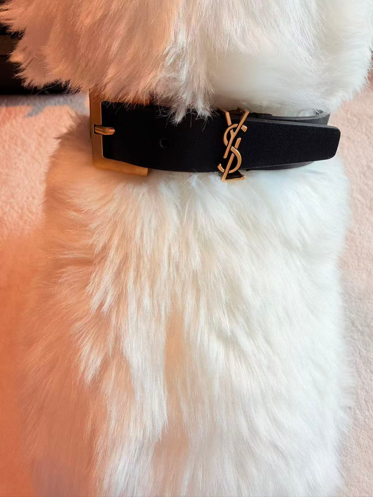 Leather Pet Collar & Leash Set – Design 01 main product view