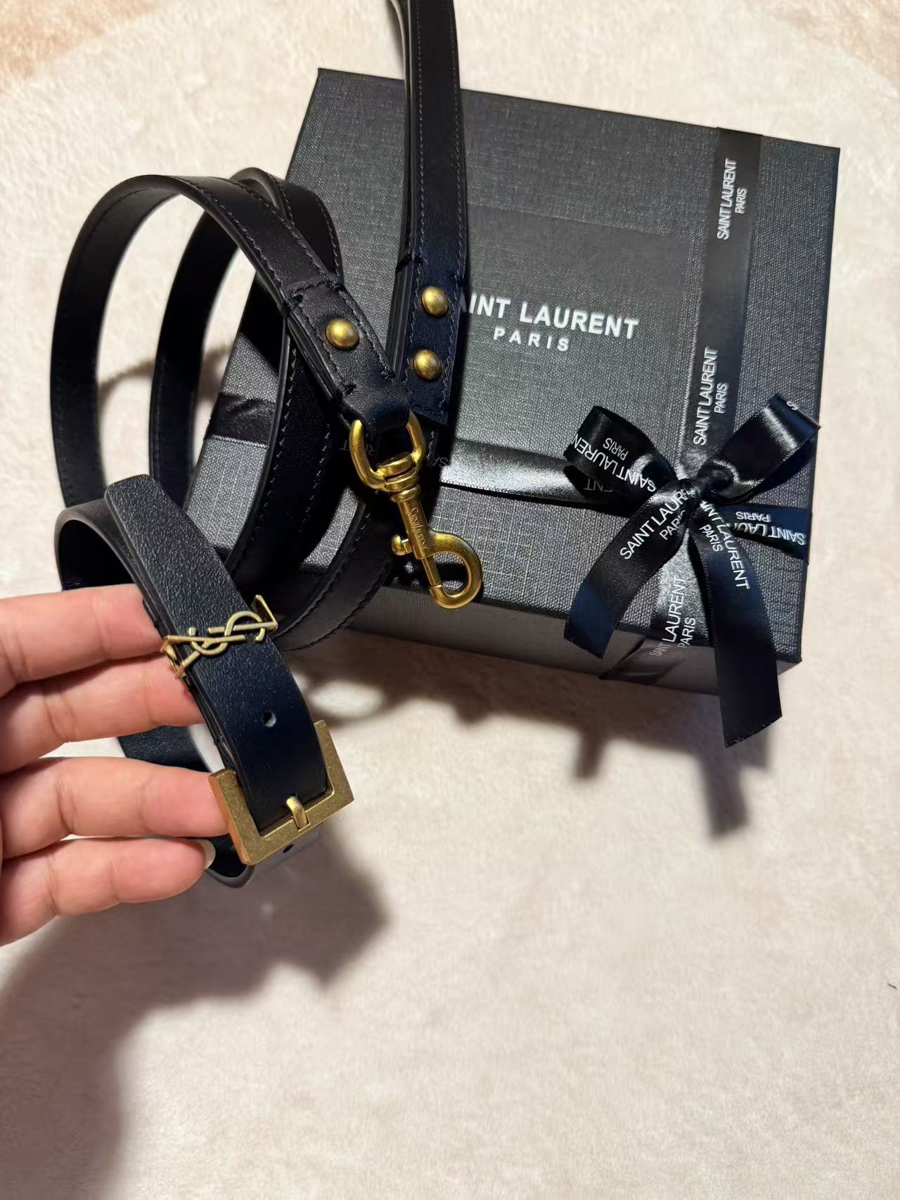 Leather Pet Collar & Leash Set – Design 01 styled pet accessory view