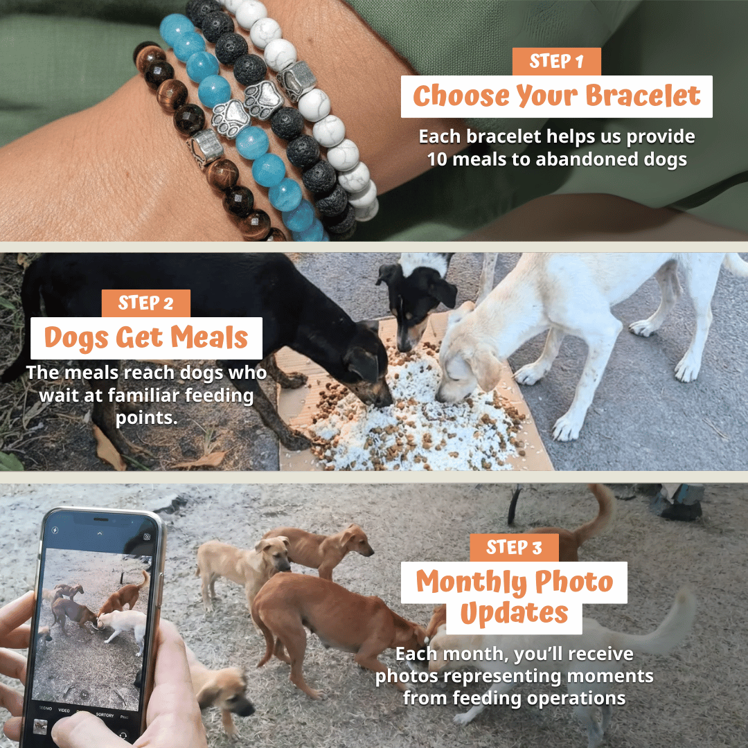 Evil Eye Fivefold Protection Bracelet | 5 Natural Crystals | Adjustable Wax Rope